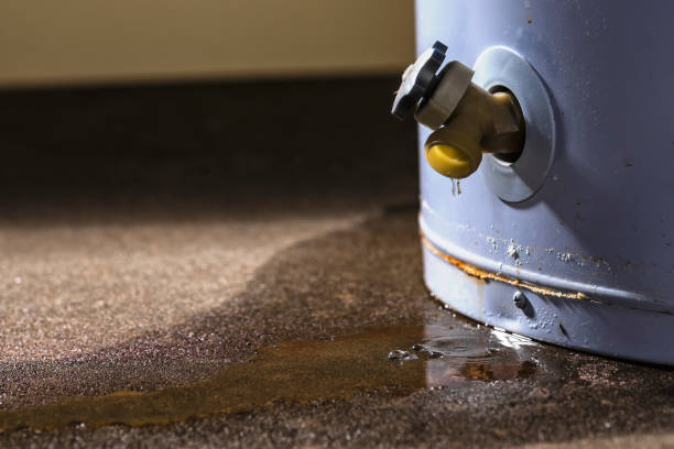 Best 24/7 water damage repair  in Grenada, MS