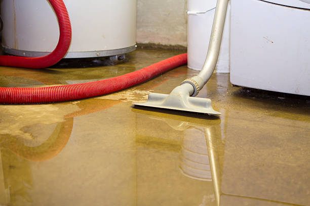 Best Professional water damage repair  in Grenada, MS