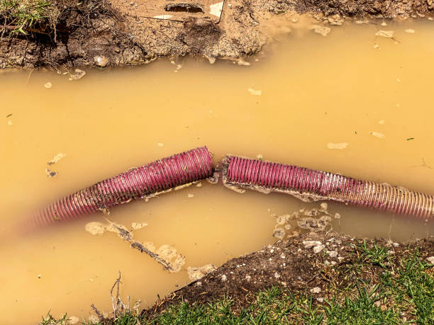 Best 24-hour water damage restoration  in Grenada, MS